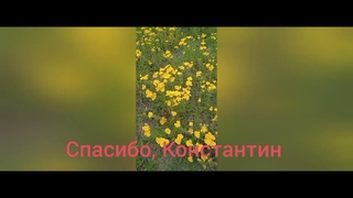 Берегите своих половинок. Благополучия всем семьям. Елена Митрофанова