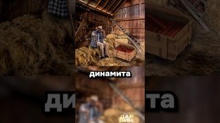 Бомбическая находка на ранчо
