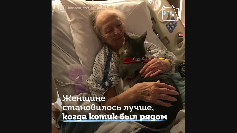 Слепой котик вылечил бабушку от