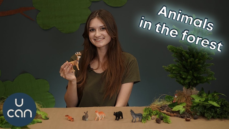 Animals in the