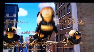 Here comes the sun (Bee Movie)