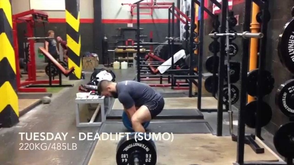 Brett Gibbs Squat Bench and