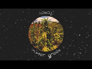 mister green phonk x reggae beat