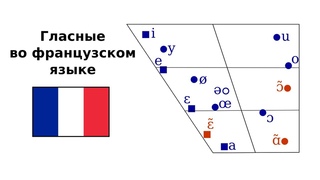Фонетика французского языка. Гласные