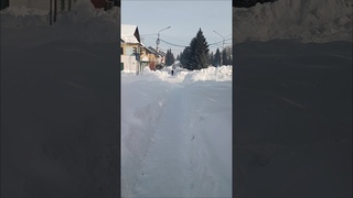 Зимние тропки Зыряновска (Алтая)