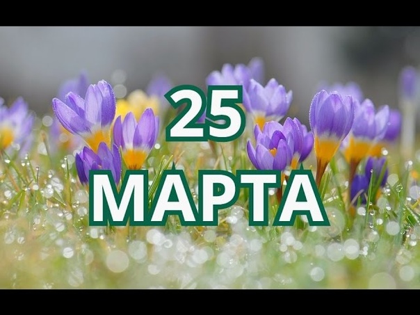 25 марта Час Земли и другие