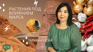 Растения под влиянием Марса. Татьяна Хегай