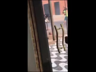 Полицейские танцульки