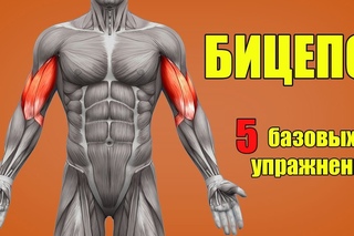 БИЦЕПС. 5 БАЗОВЫХ УПРАЖНЕНИЙ + ОШИБКИ УБИВАЮЩИЕ ПРОГРЕСС!