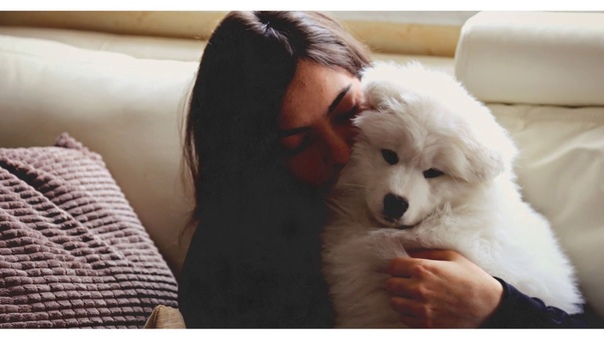 One year with Lexie Samoyed