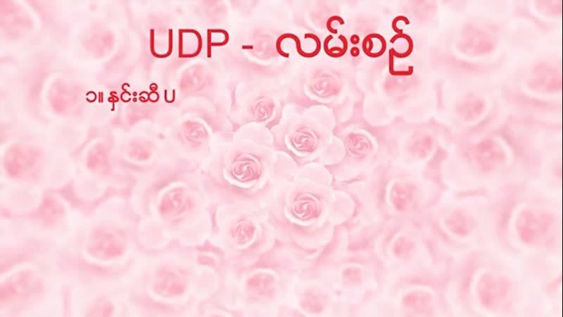 နှင်းဆီ UDP