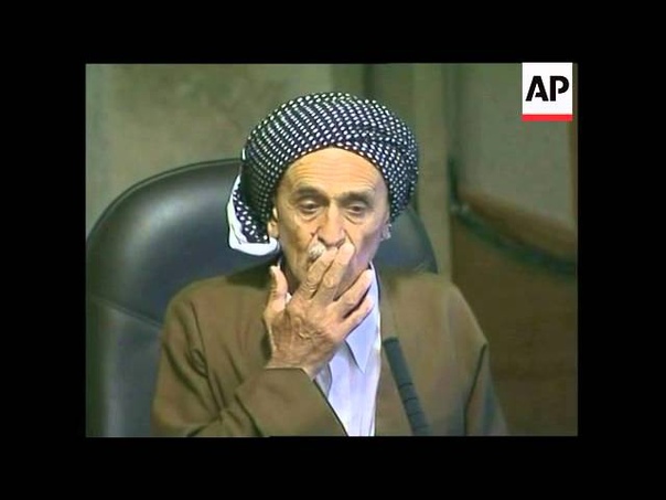 WRAP Saddam Husseins Anfal trial, Kurdish witness, judge