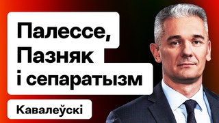 “Сепаратизм“ Полесья, отношение местных к Лукашенко и Позняку, приезд французов / Ковалевский