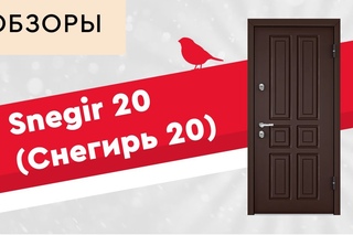 Дверь Torex Snegir 20 (Снегирь 20)