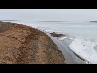 Лес в котором невозомжно заблудиться.