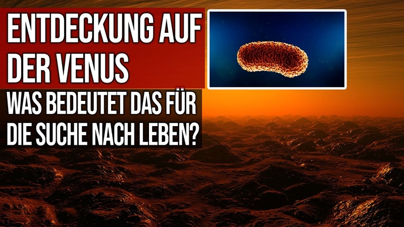 Entdeckung auf der Venus Was bedeutet das für die Suche nach