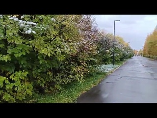 Первый снег сентябрь