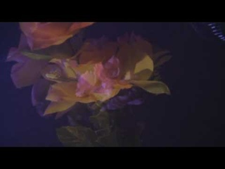 Crayon Fields - Mirror Ball