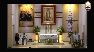EN VIVO: Celebracin Eucarstica. Asuncin de la Santsima Virgen Mara