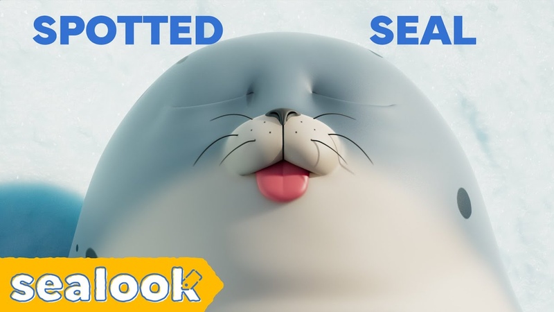 MLEM: Stop Me If You Can , Spotted Seal Special, SEALOOK, Episodes