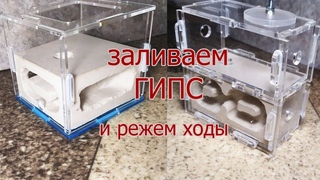 Как сделать миниатюрную  муравьиную ферму из гипса своими руками