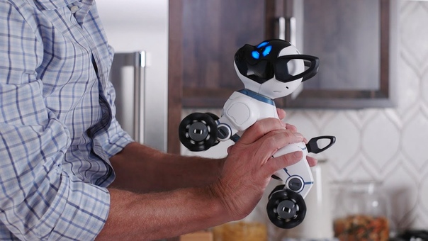 Meet CHi P: The Worlds First Lovable Robot