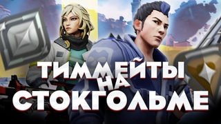 ТВОИ ТИПИЧНЫЕ ТИММЕЙТЫ НА СТОКГОЛЬМЕ