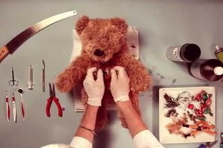 Teddy Has An Operation