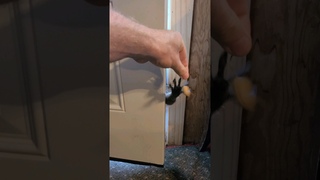 The Mystery Behind This Door!