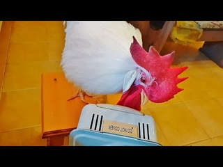 Петя и компания. Часть 60 (чиним обогреватель)