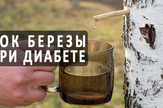 Березовый сок и диабет