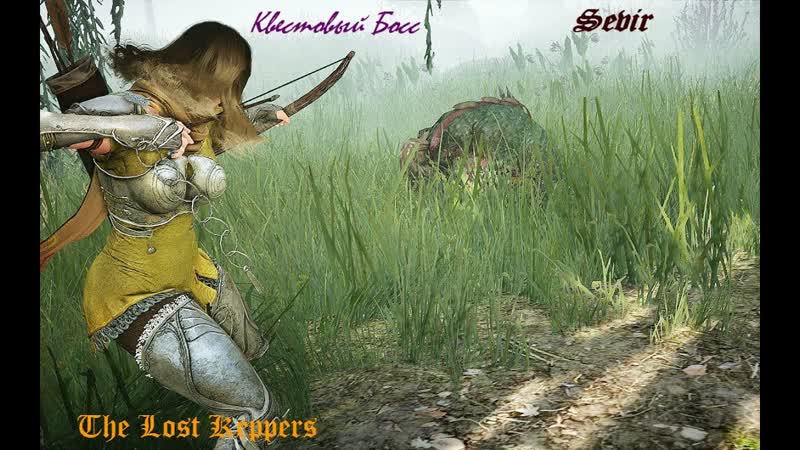 Килл Босса Лесничий по Квесту тучки Black Desert OBT