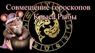 Совмещение гороскопов.  Крыса рыбы