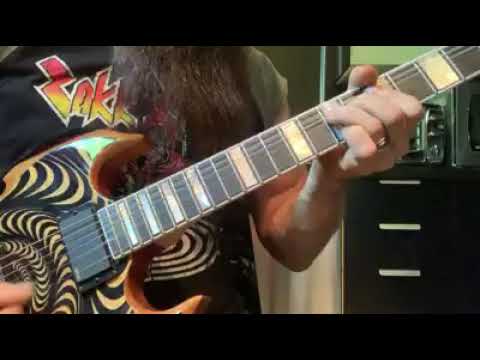 Zakk Wylde November Rain