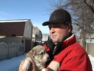 Среднеазиатские овчарки. Программа “Четыре лапы“ (на украинском языке))