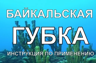 Байкальская Губка. Инструкция по применению. Baikal Sponge. User's Manual