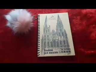 💕Обзор скейтчбука💕