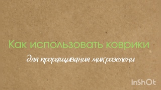 Использование ковриков для выращивания микрозелени