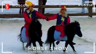 Horse show -5 Лошадь Морь घोड़ा うま 馬 حصان Pferd Cheval Caballo Cavalo اسب Kuda Жылқы Ат multicolor