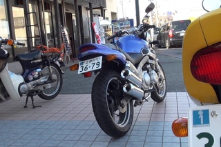 ZeaL YAMAHA 3YX FZX250ZEAL