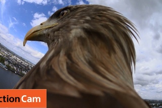 Flying from Cologne Cathedral | The Eagle POV | Action Cam | Sony