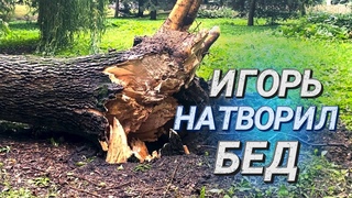 Последствия стихии в Минске II В парке Горького прошелся ураган II В Беларуси Оранжевый уровень