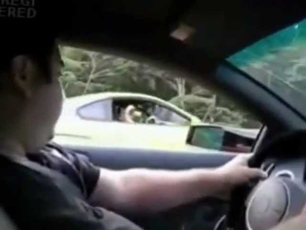 Toyota Supra toying with a Lambo