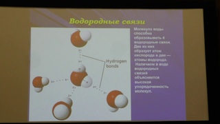 Фролова Н. Л. - Гидрология - Лекция 2