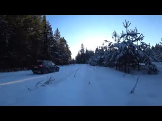 Хороша  ЗИМУШКА-ЗИМА. Прогулка по лесу. И немного парка.