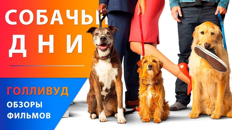 Ева Лонгория, Финн Вулфард и Ванесса Энн Хадженс в комедии