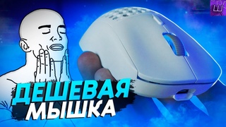 Бюджетная ИГРОВАЯ МЫШЬ! ОБЗОР AJAZZ AJ199 с AliExpress. БЕЛАЯ МЫШЬ 2023 l Штрейн