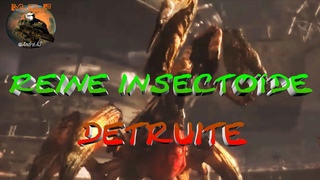MDF - Reine insectode dtruite