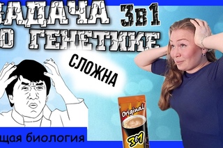 Комбо-задача по генетике 3 в 1! Урок биологии №71.