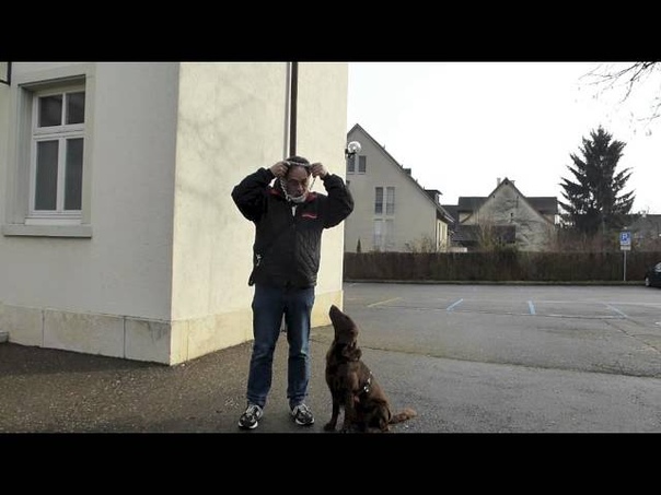 The only proper way to use a choke chain in loose leash